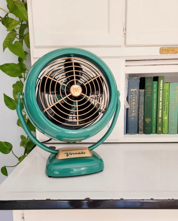 VFAN Green on a hutch next to a plant and some books.
