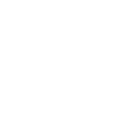 DC Precise Control Icon