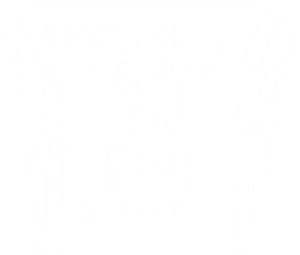 BXR HD Powerful Airflow icon White Airflow icon that says Powerful 1300 FPM Airflow
