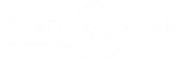 White Energy Smart logo