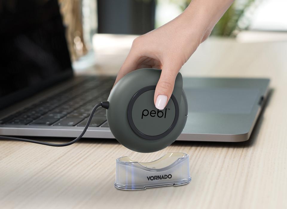 Pebl in Hand Pebl in Hand