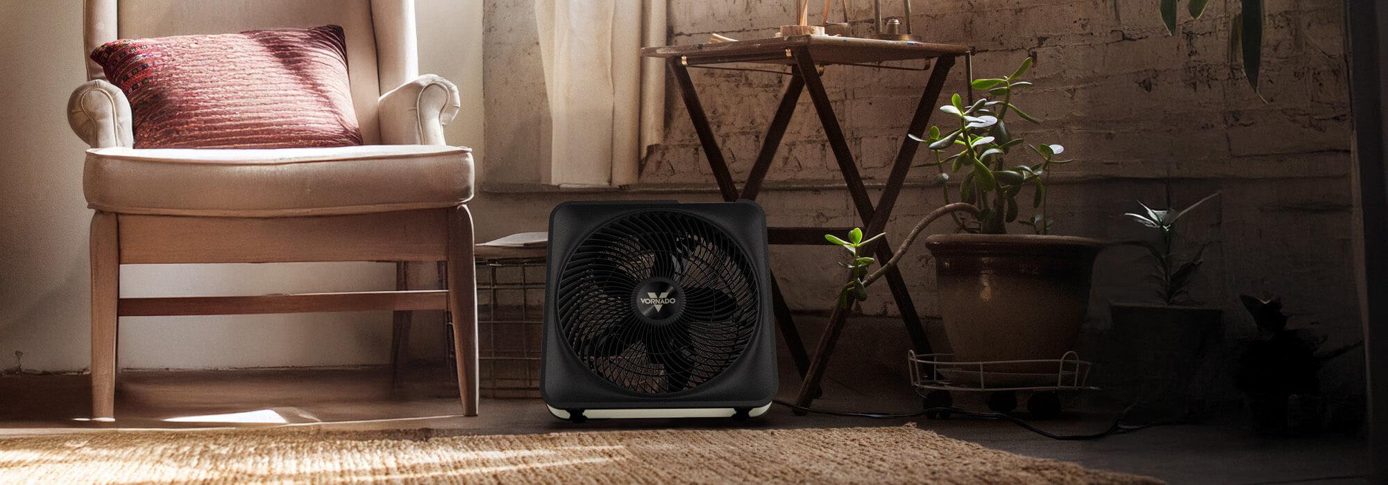 Model 80X next to a chair and plant